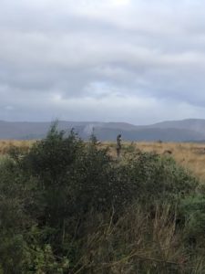 The clouds, hills, and bracken of the highlands